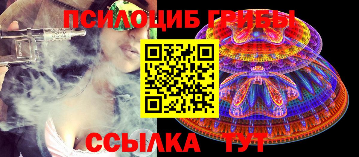 Псилоцибиновые грибы Cubensis  Вход с VPN  Галлюциногенные грибы прущие грибы  Нурлат 